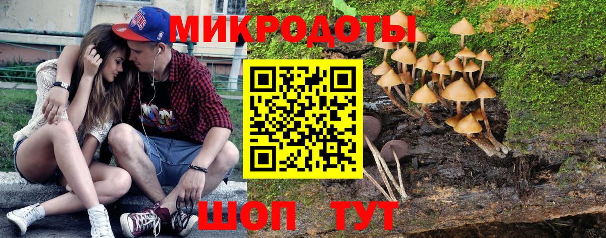 Галлюциногенные грибы GOLDEN TEACHER  Вход с VPN  Заволжье  Псилоцибиновые грибы мухоморы 